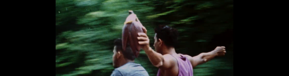 curta-alagoano-o-mapa-em-que-estao-os-meus-pes-e-selecionado-em-gramado